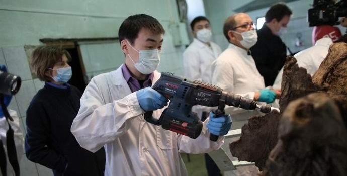 Mamuti se budou znovu potulovat na severu Ruska