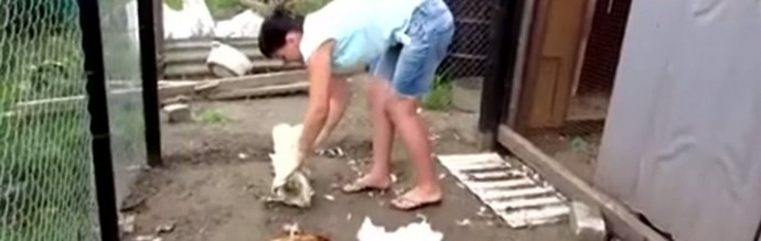 Proč se Chupacabra objevuje, jako by odnikud?