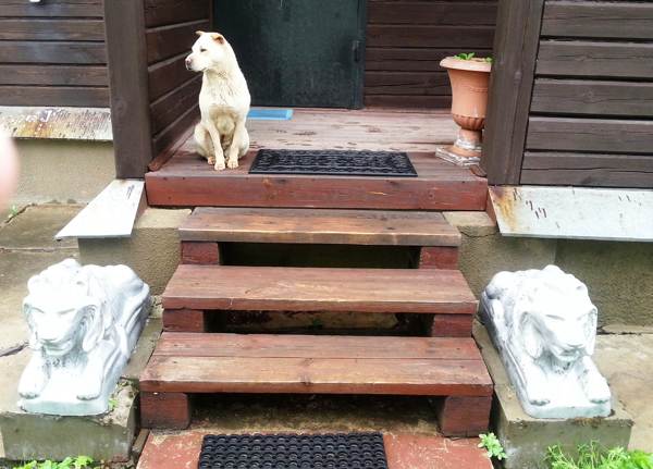 proč neprojít prahovou hodnotou 