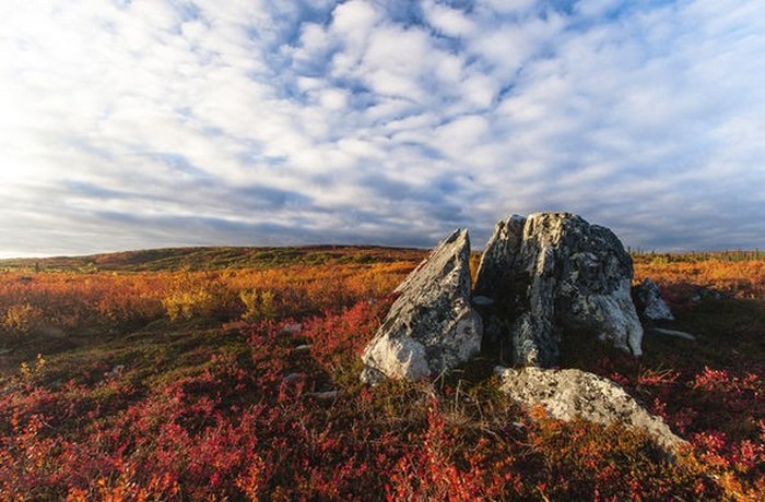 Měsíc a půl putování po tundře