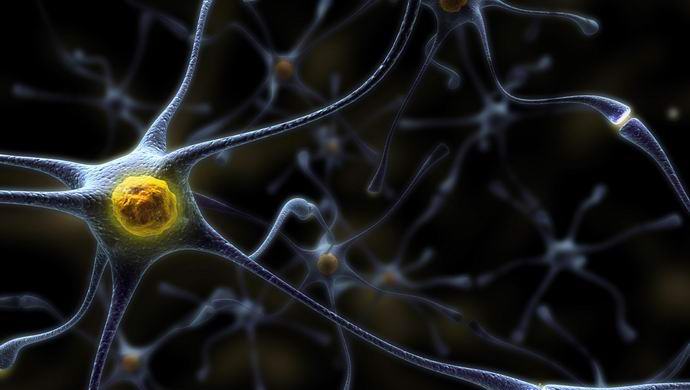 Poškozené nervy lze opravit laserem.