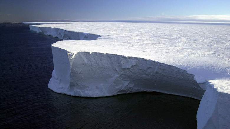 Byla možnost prozkoumat neznámý ekosystém.