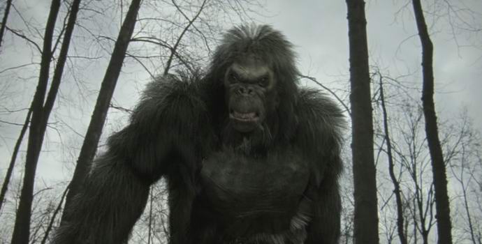 Byly předloženy nové důkazy pro yetiho