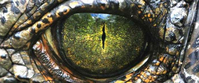 Blíží se nové období obřích dinosaurů.