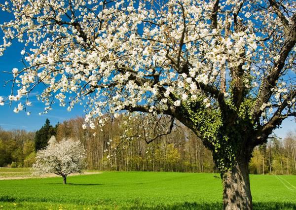 podepisuje 3. května 