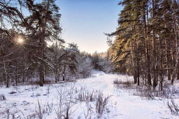 znamení na 9. prosince 