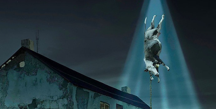 Unášejí mimozemšťané zvířata z ukrajinské rezervy?