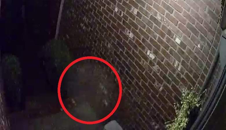 Duch sestupuje po schodech v tajemném videu