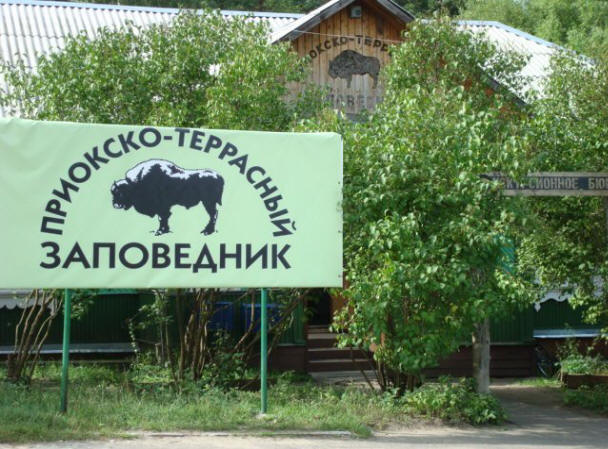 Chybějící čas v rezervaci Prioksko-Terrasny