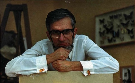 Chybějící gravitační letadlo vědce Grebennikov