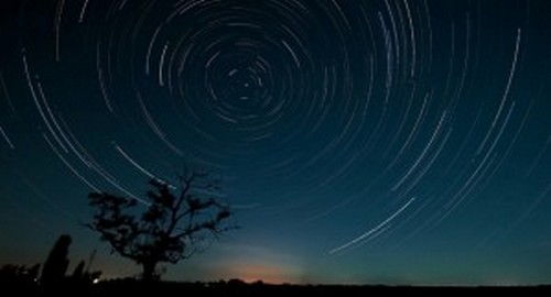 Ptáci cítí, že se bouře blíží za pár dní. Jak?