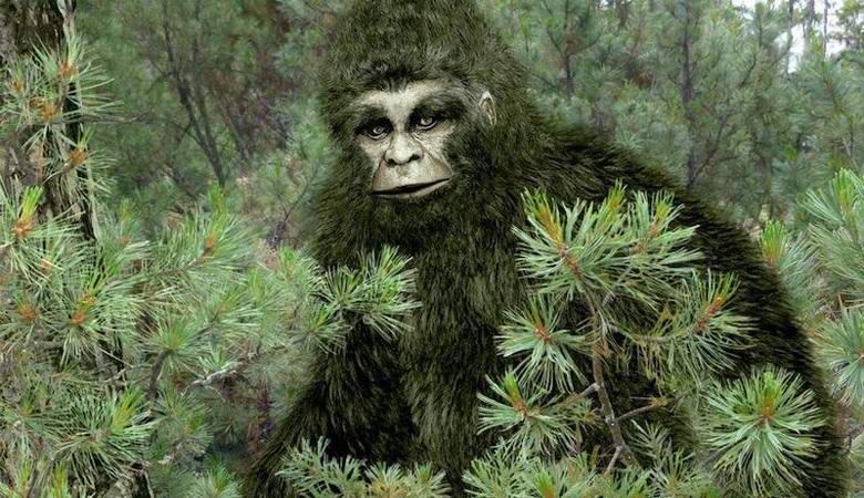 Sněhulák vystrašil tatarské lidi na fotografii