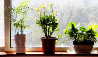 Klikněte pro zobrazení v plné velikosti