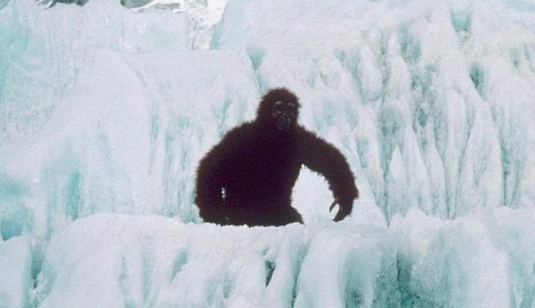 Bigfoot Procházka v Oregonu Hit video