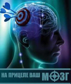 Vývoj pravé hemisféry mozku