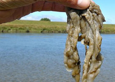 Klikněte pro zobrazení v plné velikosti