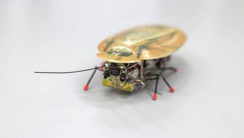Švábový robot je mimo chválu