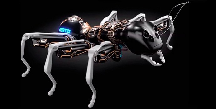 Robotické mravenci pracují stejně těsně jako ty skutečné.
