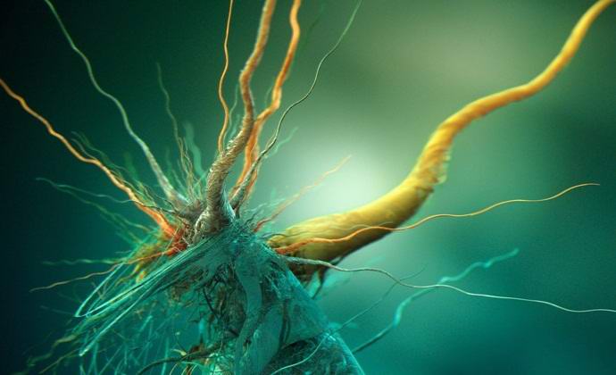 Ruští vědci objevili v Antarktidě mimozemské mikroorganismy