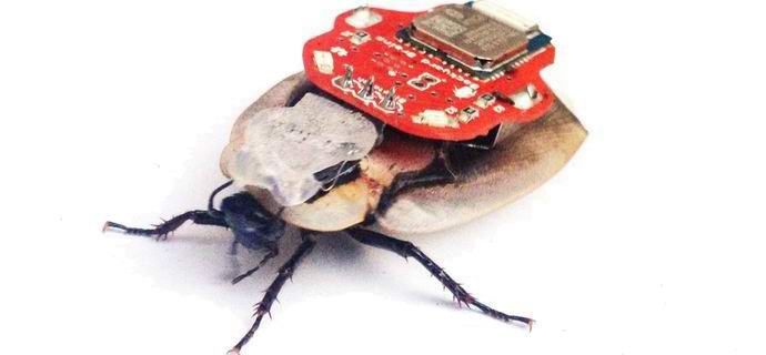 Rusové vyvinuli robotického špionážního švába