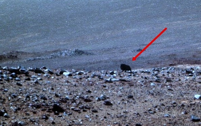 NASA Rover zastřelil zvíře na Marsu
