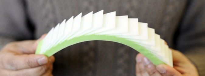 Nejlepší brnění jsou rybí šupiny!