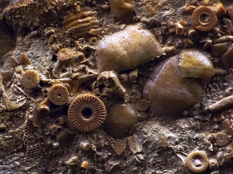 Nejúžasnější artefakty zmizí beze stopy