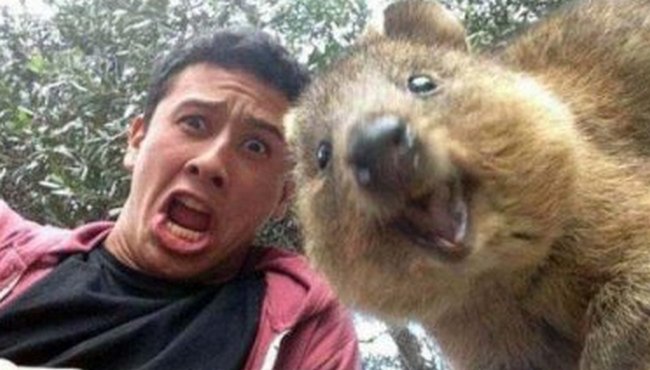 Selfie video - moderní typ diagnostiky zdravotního stavu