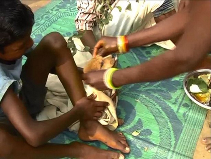 Sedmiletý chlapec se oženil s toulavým psem