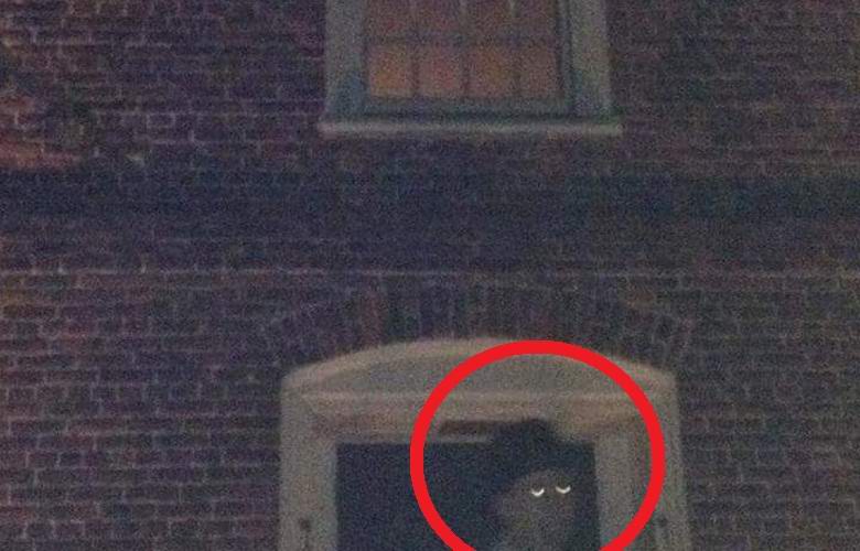 Byl vyfotografován muž se zvláštníma očima