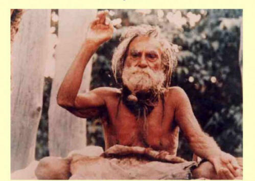 art, life, celebrity, centenarians, Noah, Peng Zhu, Devraha Baba, Li Lingyuan, Henry Jenkins, Sarah