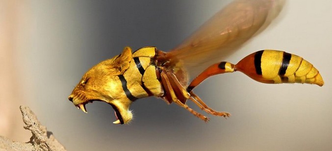 Vtipy talentovaného umělce