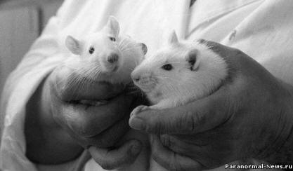 Sibiřští vědci testovali sami sebe