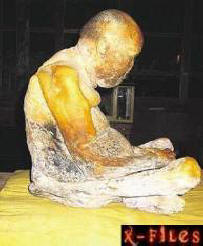 Sibiřský zázrak nezničitelného těla