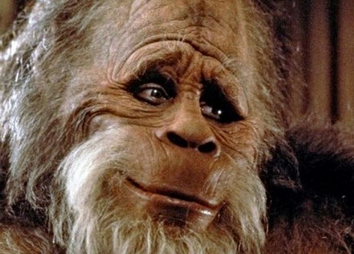 Bigfoot se ukázal jako násilník