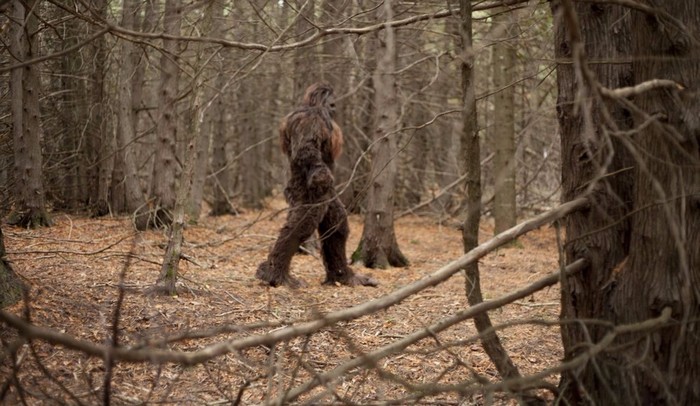 Bigfoot děsí obyvatele Malajsie