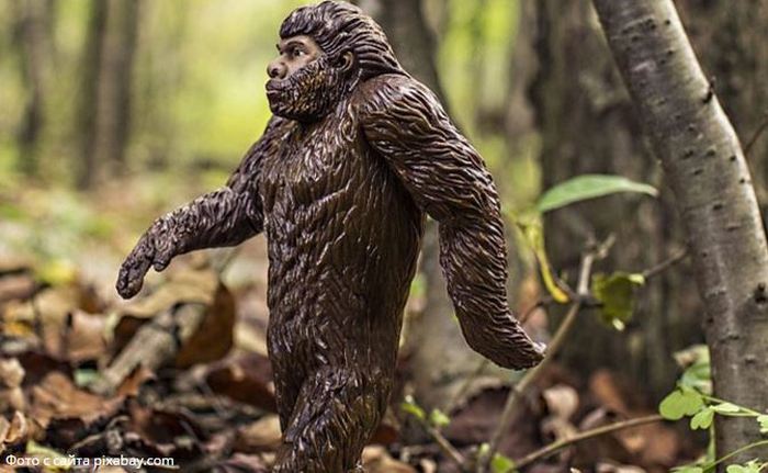 Bigfoot byl spatřen na dvou místech v Rusku najednou