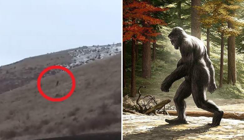 Bigfoot zajatý v Idaho