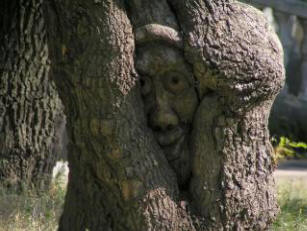 Vsadím se, že jsi to nevěděl. Proč zaklepeme na dřevo