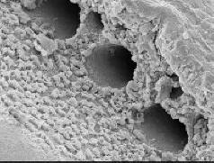 Sklo nelze brzy rozbít.