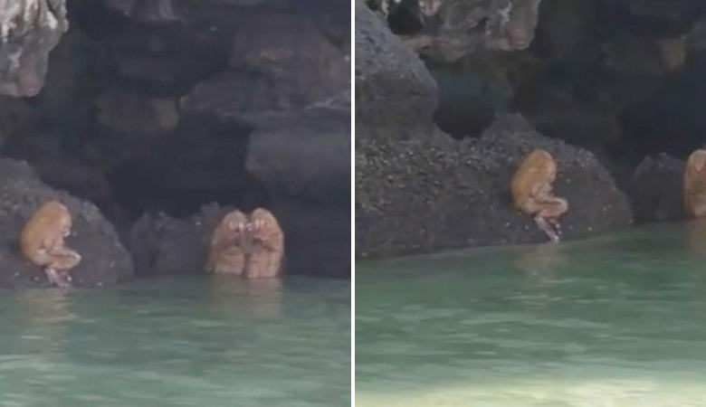 Podivné hudební tvory zasáhly video v Thajsku