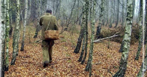 Podivný případ se sběračem hub