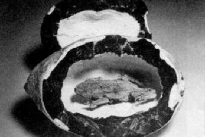 Tvorové z jiných časů