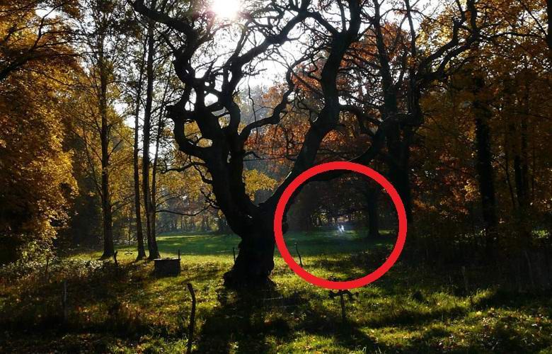 Zářící duchy dětí hrajících si v parku