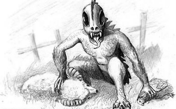 Tajemná chupacabra se objevila v karpatské oblasti