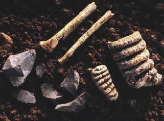 Záhada zmizelého kmene Nittaevo