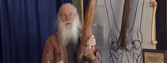 Stejně tak bylo klima nebo gravitace stejné?