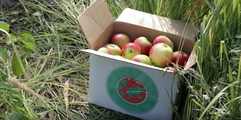 Tambovská jablka jdou do vesmíru