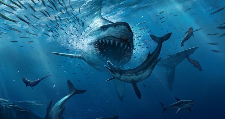 Největší žralok na světě megalodon photo