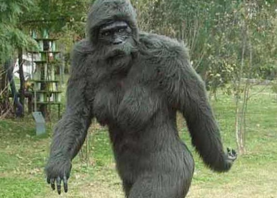Bigfoot fotka sněhuláka